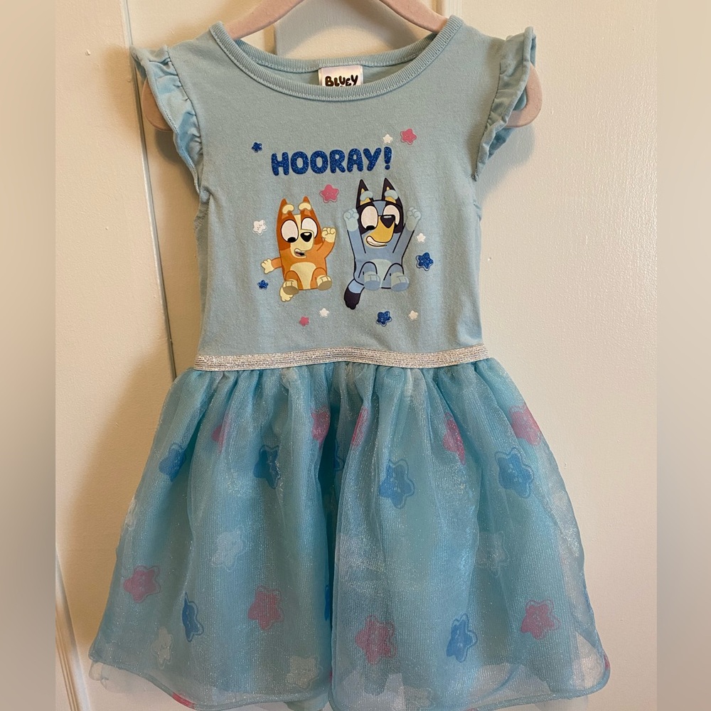 Bluey dress
